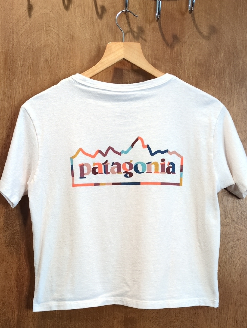 Patagonia Responsibili-Tee with Multicolor Mountain Logo Size XS